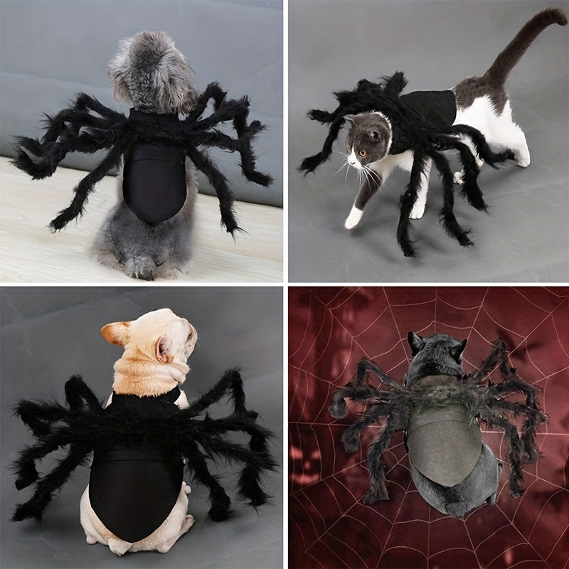 Halloween Spider Costume for Cats and Small/Medium Dogs