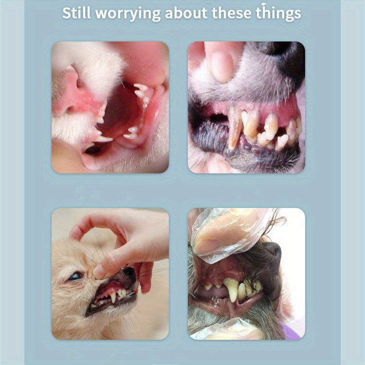 Pet Dental Care Kit