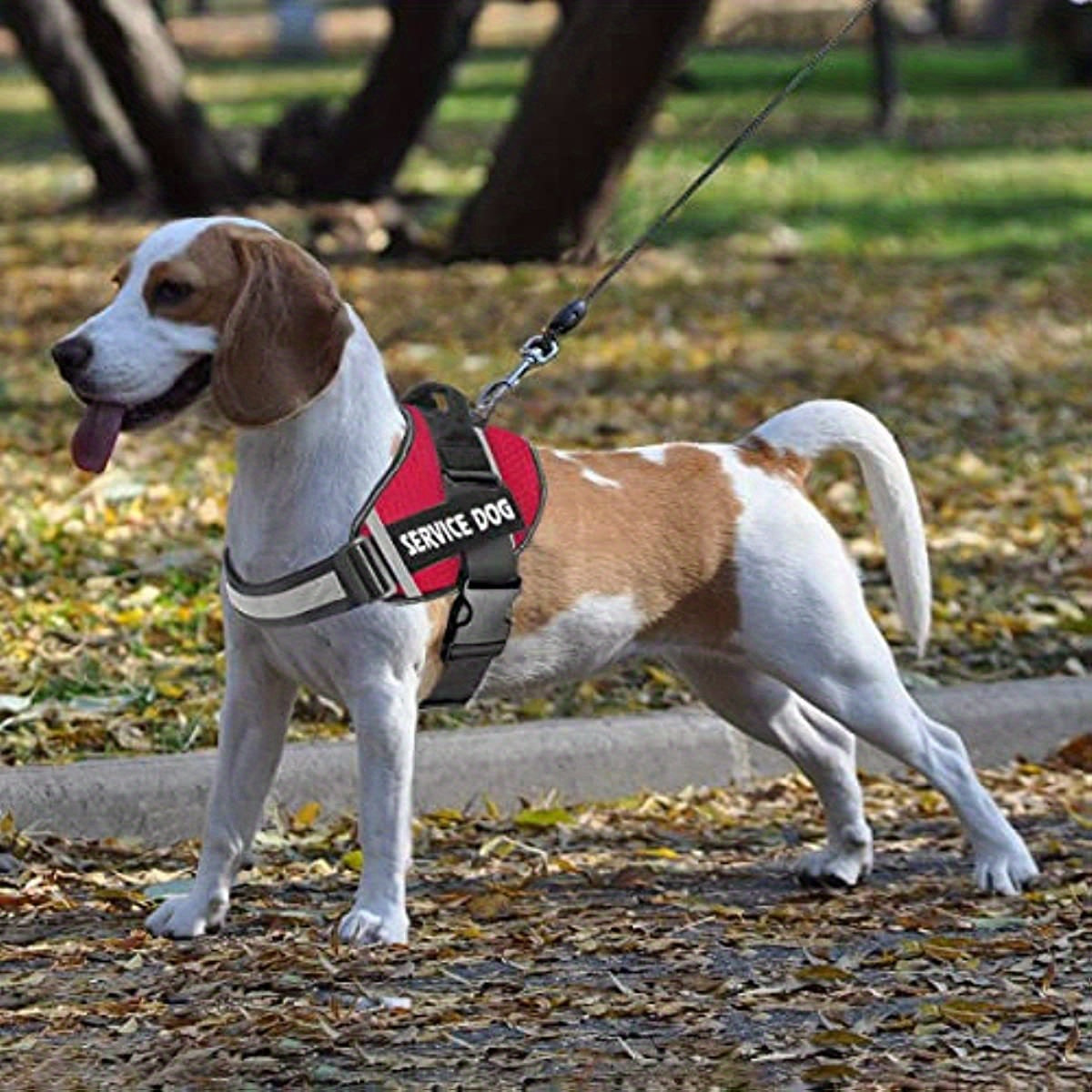 Reflective Dog Vest Harness with Comfortable Mesh Design
