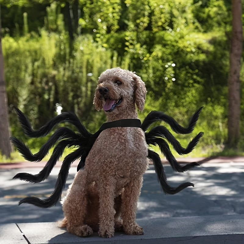 Halloween Spider Costume for Cats and Small/Medium Dogs