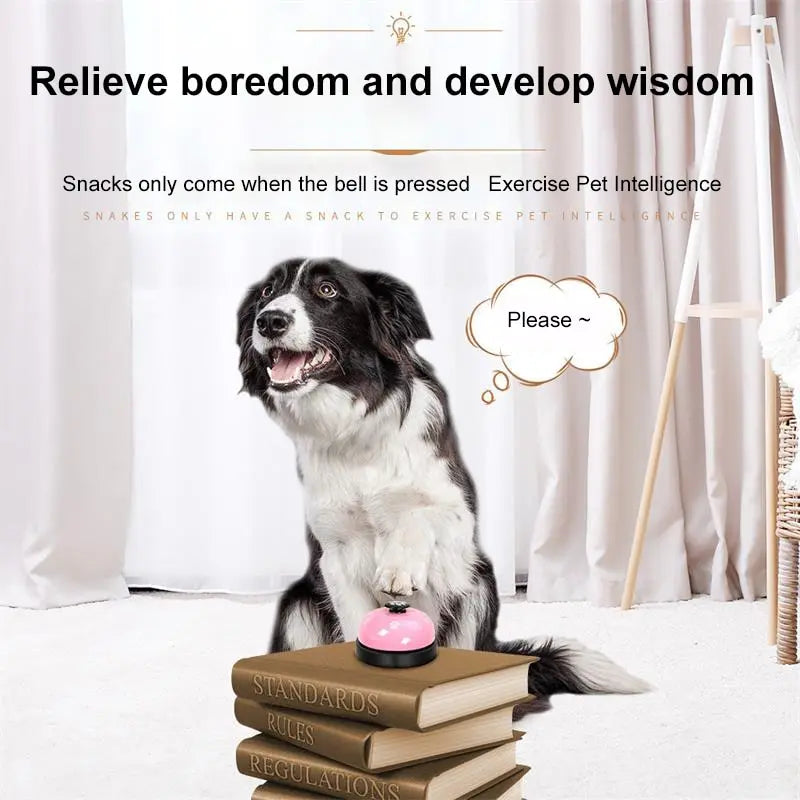 Pet Toy dinner training Small Bell