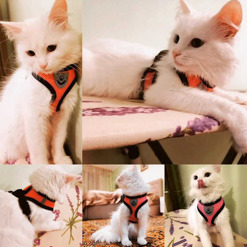 Pet Reflectible Vest Harness