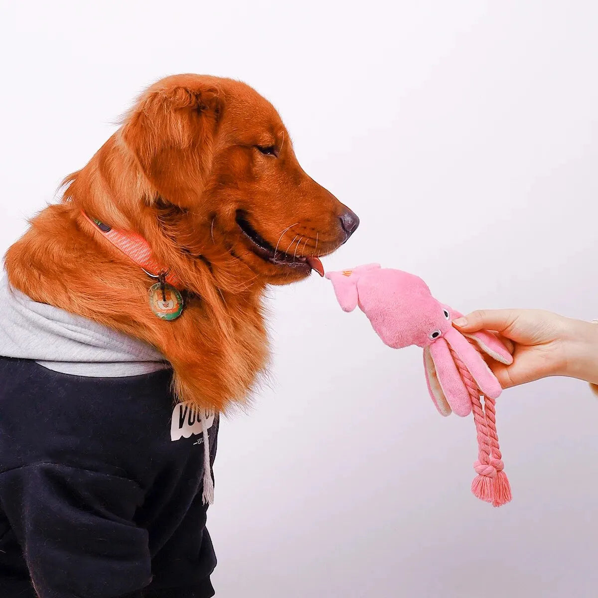 Pet Bite Resistant Octopus Plush Toy