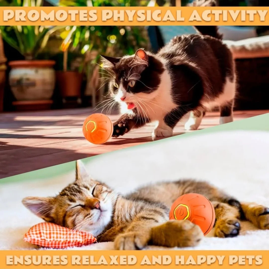 Electric Bouncing Ball For Dogs and Cats