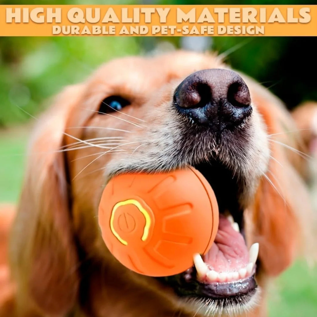 Electric Bouncing Ball For Dogs and Cats