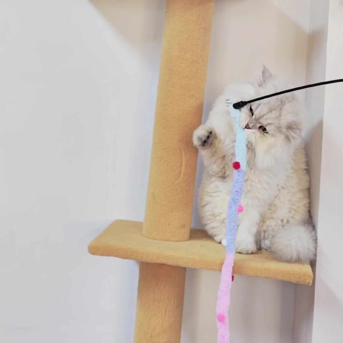 Interactive Cat Teaser Toy