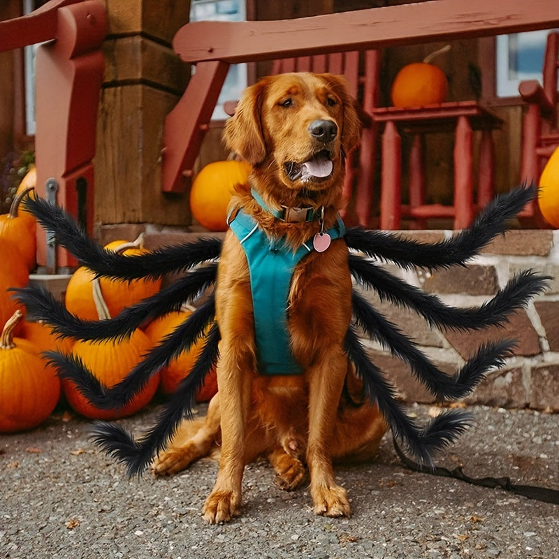 Halloween Spider Costume for Cats and Small/Medium Dogs