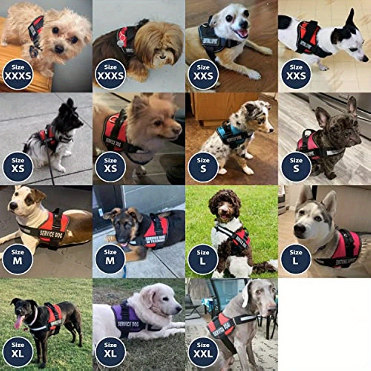 Reflective Dog Vest Harness with Comfortable Mesh Design