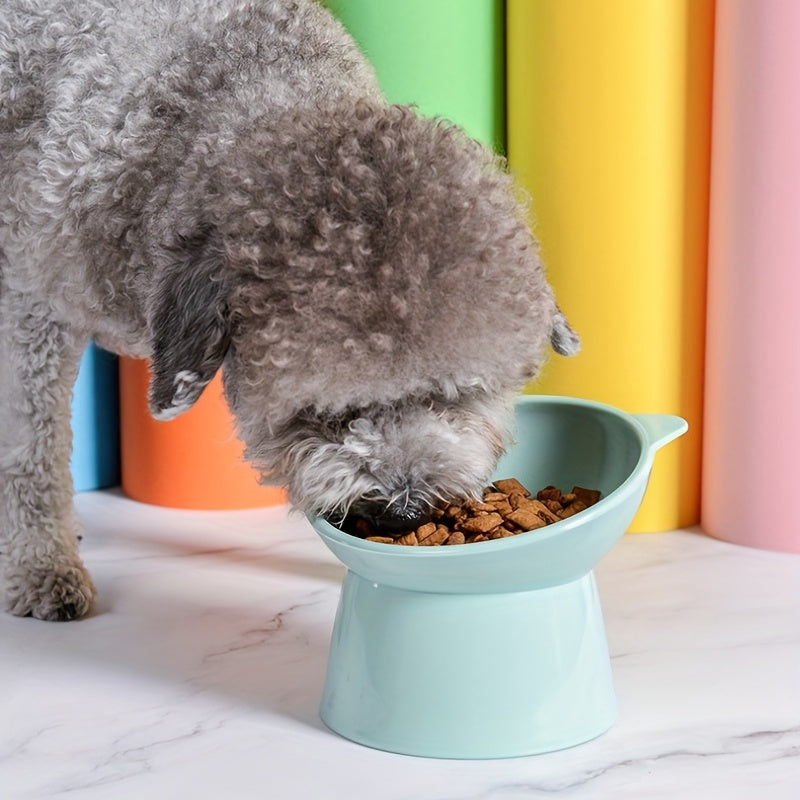 Premium Elevated Tilted Cat Bowl