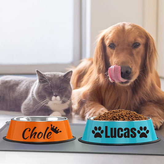 Customizable Stainless Steel Dog Bowl