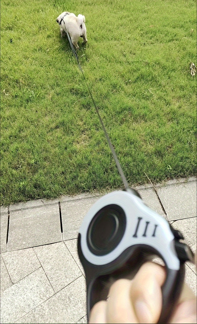 Double Switch Pet Retractable Leash