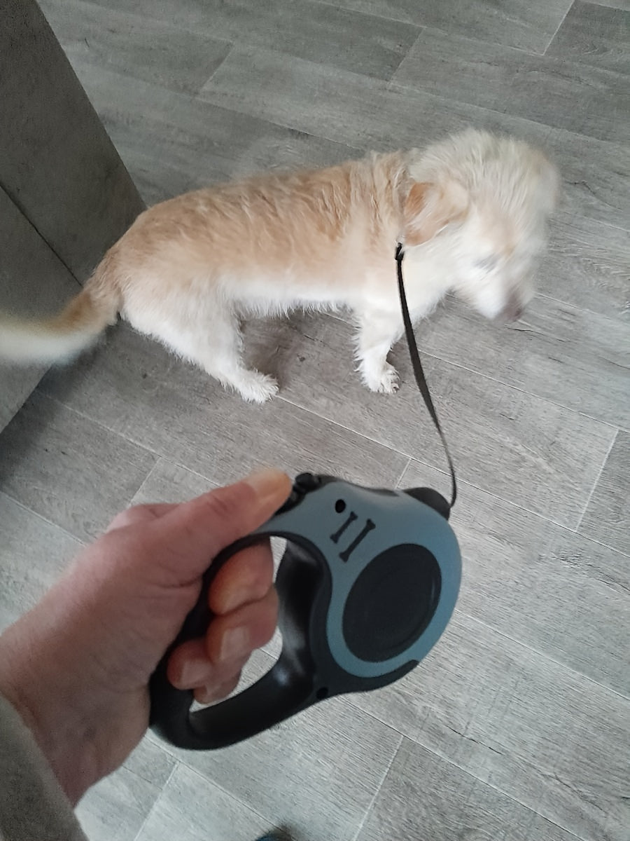 Double Switch Pet Retractable Leash