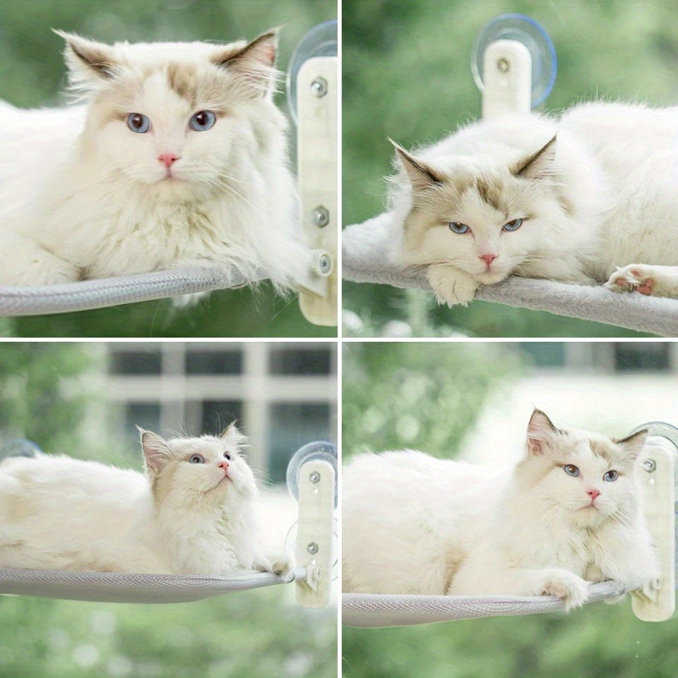 Cat Hammock
