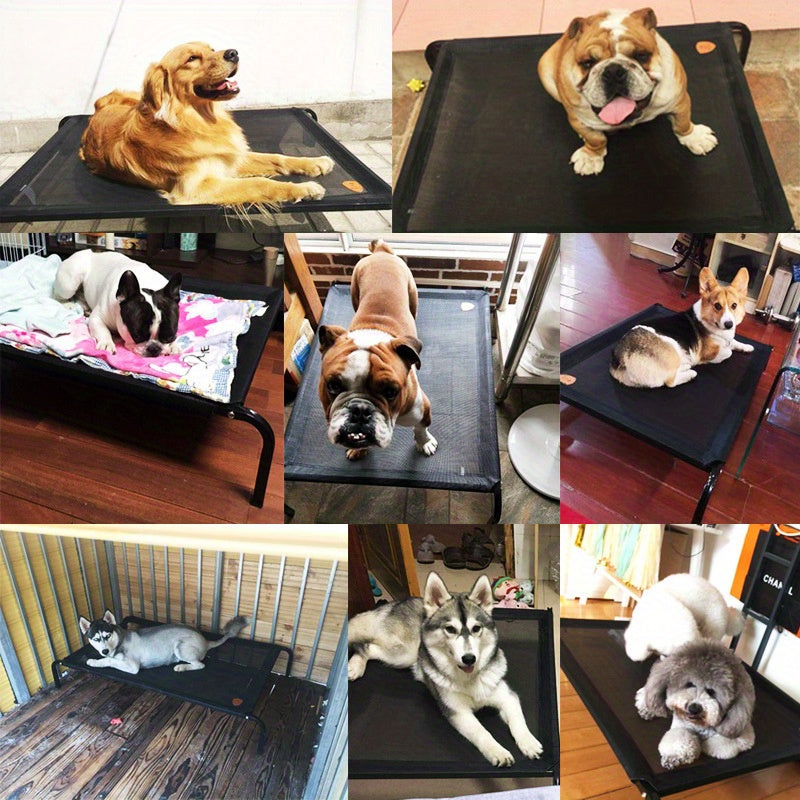 Outdoor Elevated Dog Bed