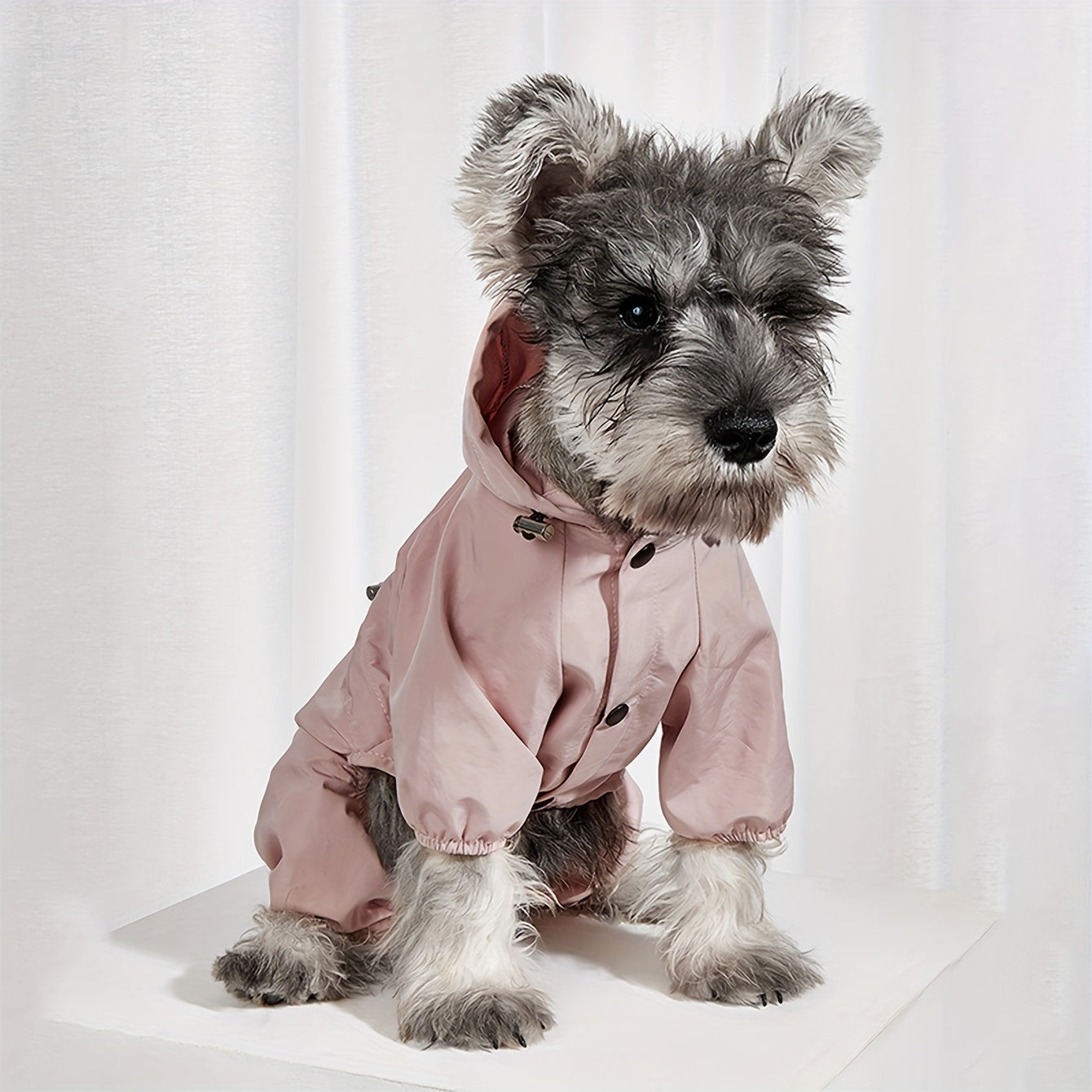 Reflective Pet Raincoat