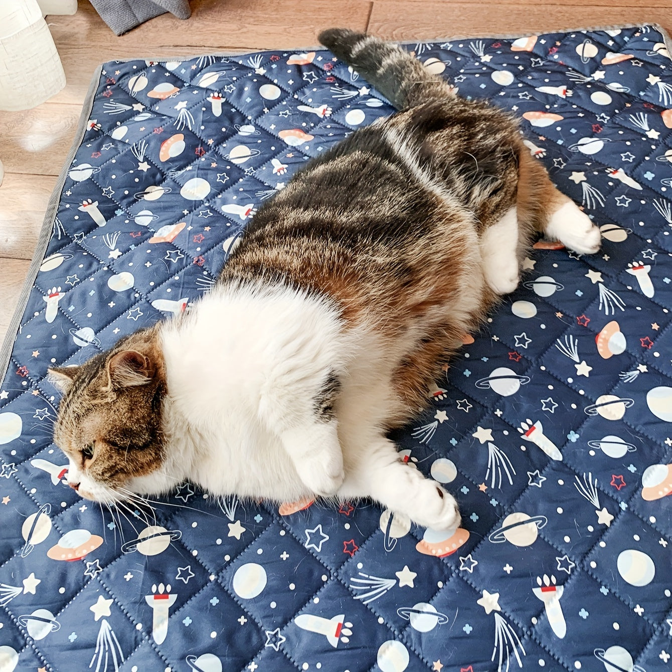 Thin Pet Sleeping Mats