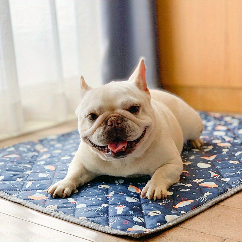 Thin Pet Sleeping Mats