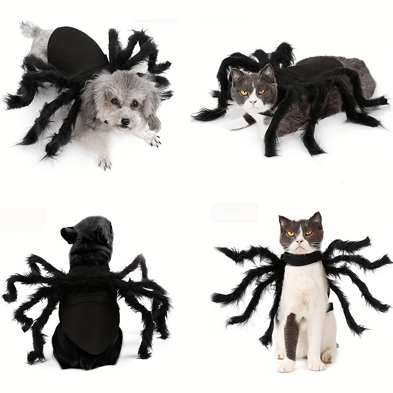 Halloween Spider Costume for Cats and Small/Medium Dogs