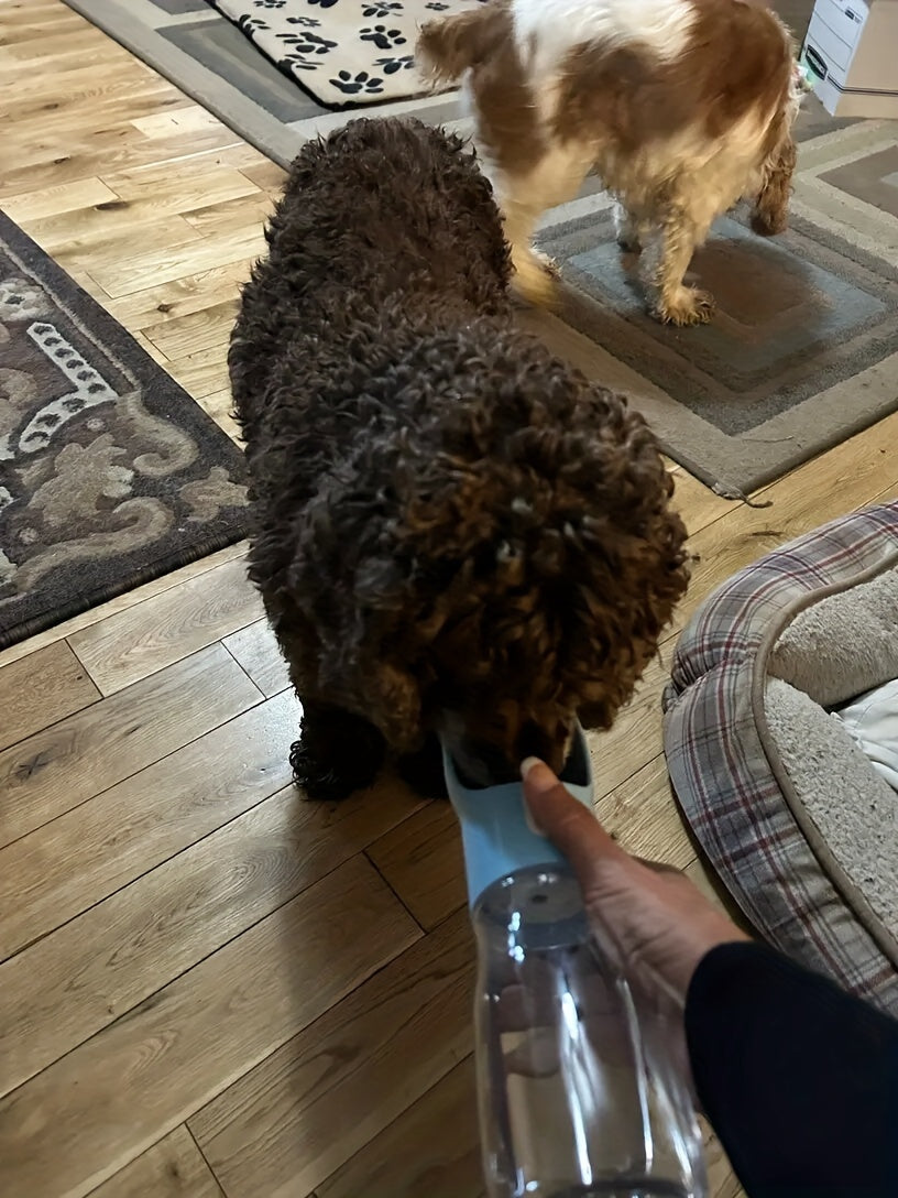 [Leakproof] Portable Dog Water Bottle