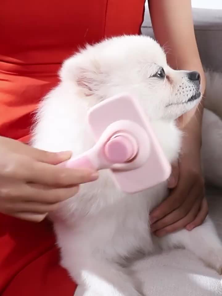 Pet Loose Hair Removal Brush