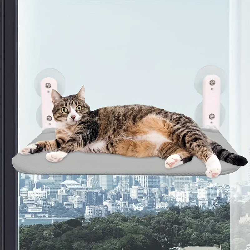 Cat Hammock