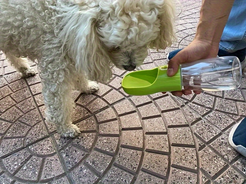[Leakproof] Portable Dog Water Bottle