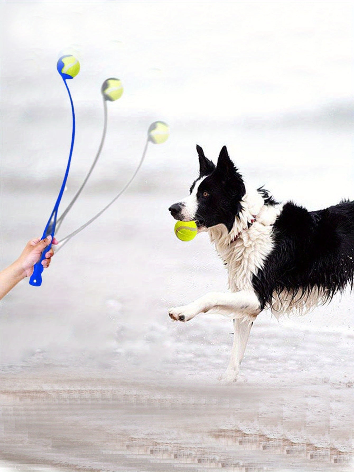 Interactive Dog Fetch Toy: Ball Thrower For Pet Training & Fun!