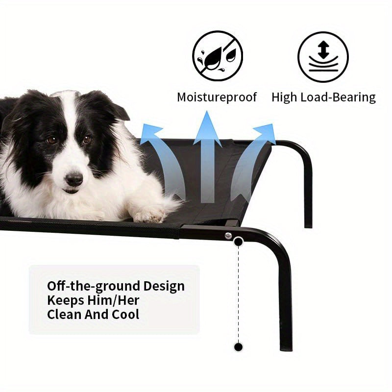 Outdoor Elevated Dog Bed