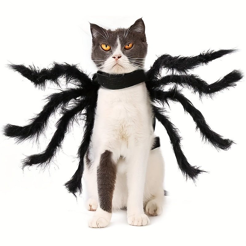 Halloween Spider Costume for Cats and Small/Medium Dogs