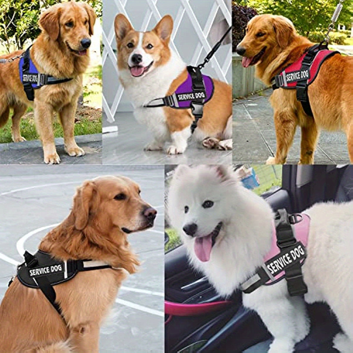 Reflective Dog Vest Harness with Comfortable Mesh Design