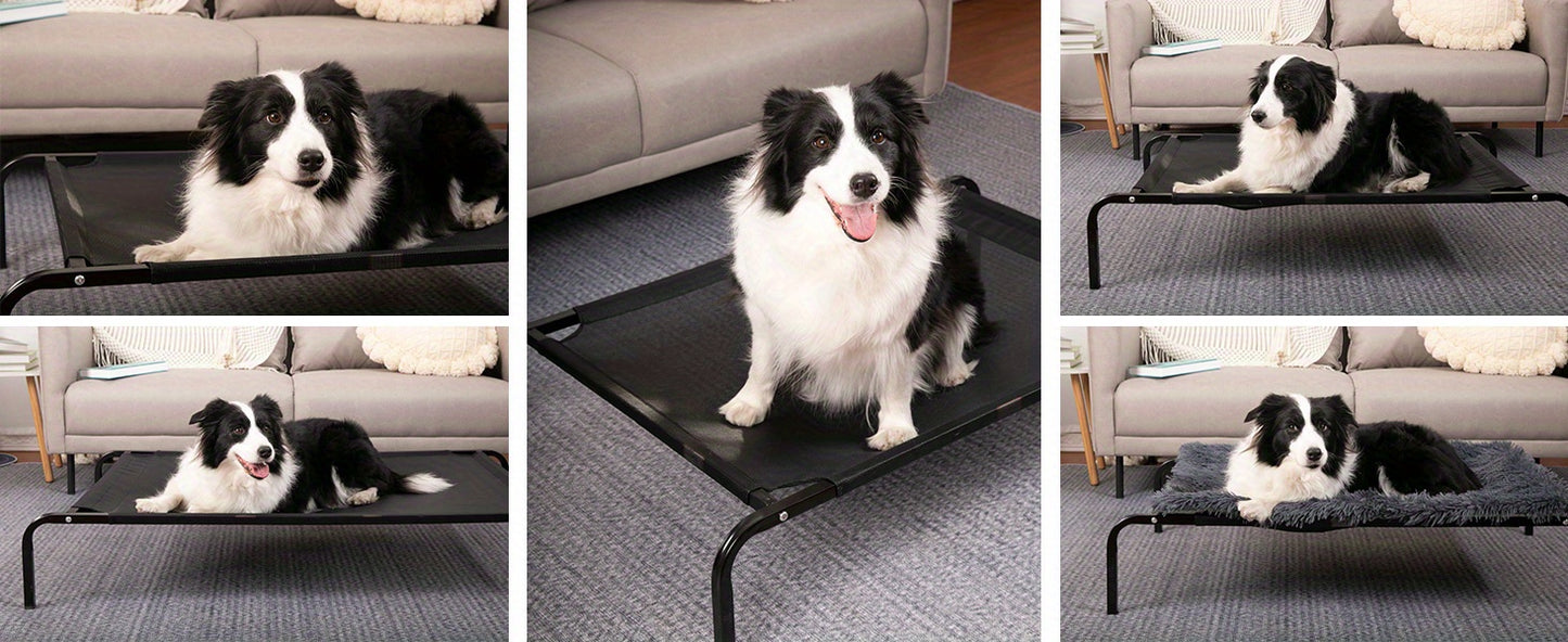 Outdoor Elevated Dog Bed