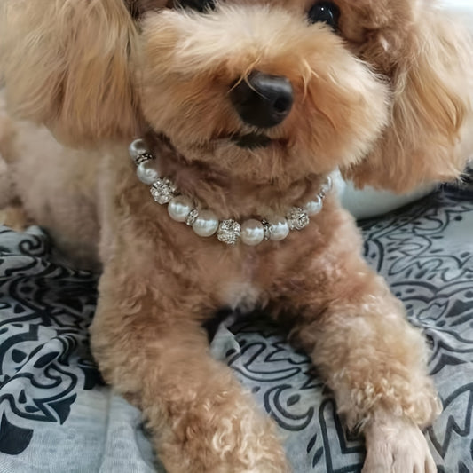 Sparkle and Shine Pet Collar