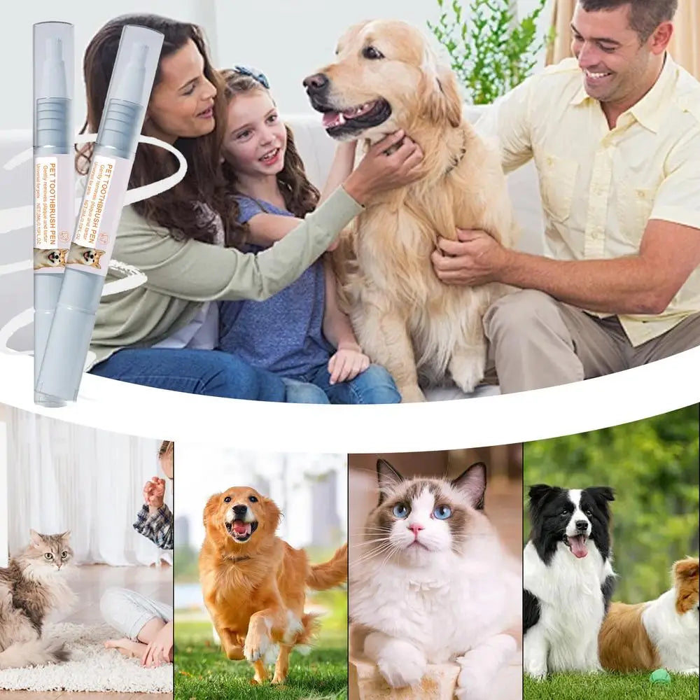 Pet Teeth Cleaning  Dental Pen