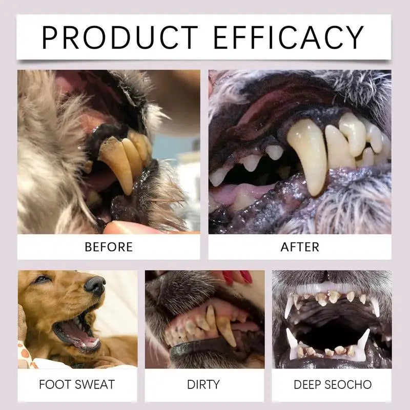 Pet Teeth Cleaning  Dental Pen
