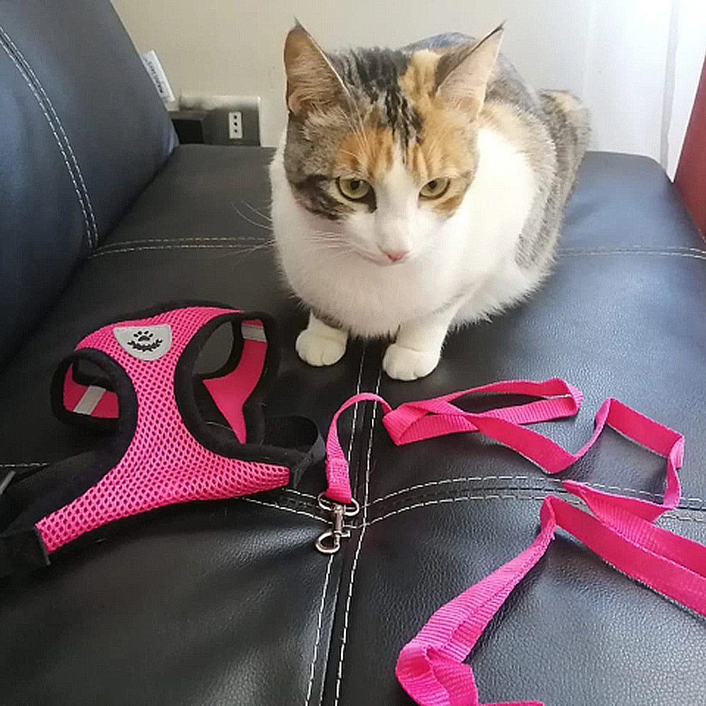 Pet Reflectible Vest Harness