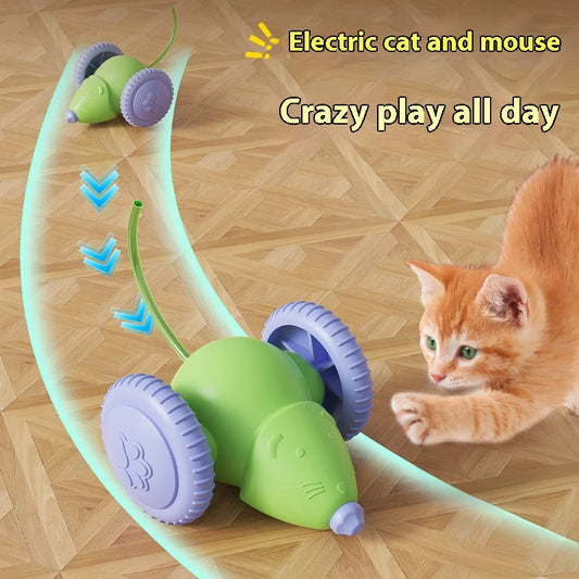 Rechargeable Interactive Cat Toy