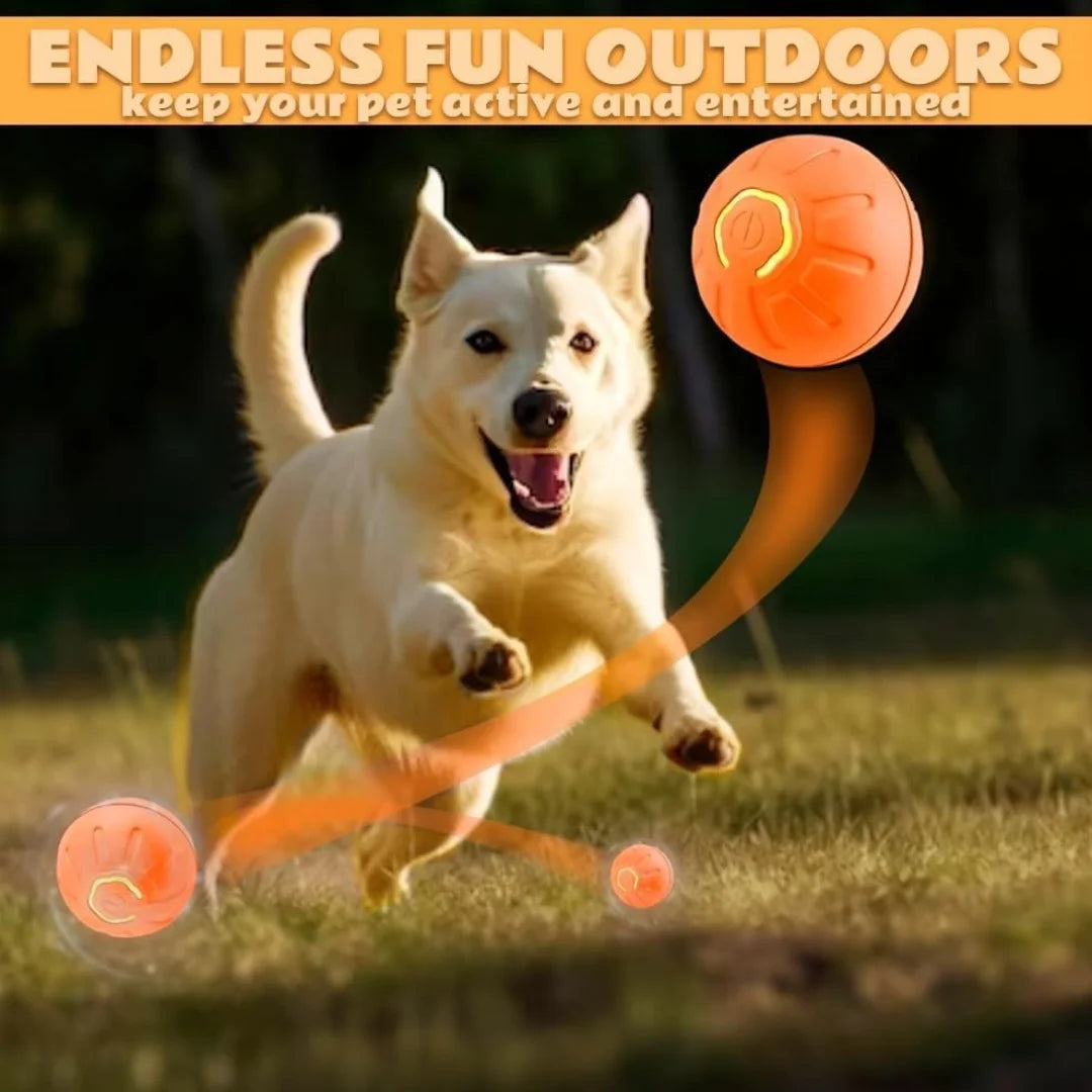 Electric Bouncing Ball For Dogs and Cats