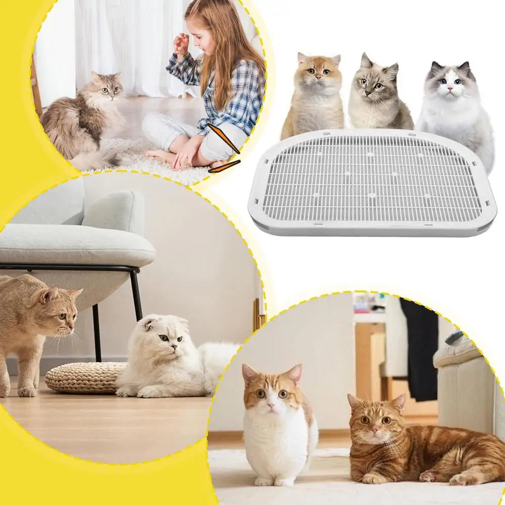 Litter Box Step Stool