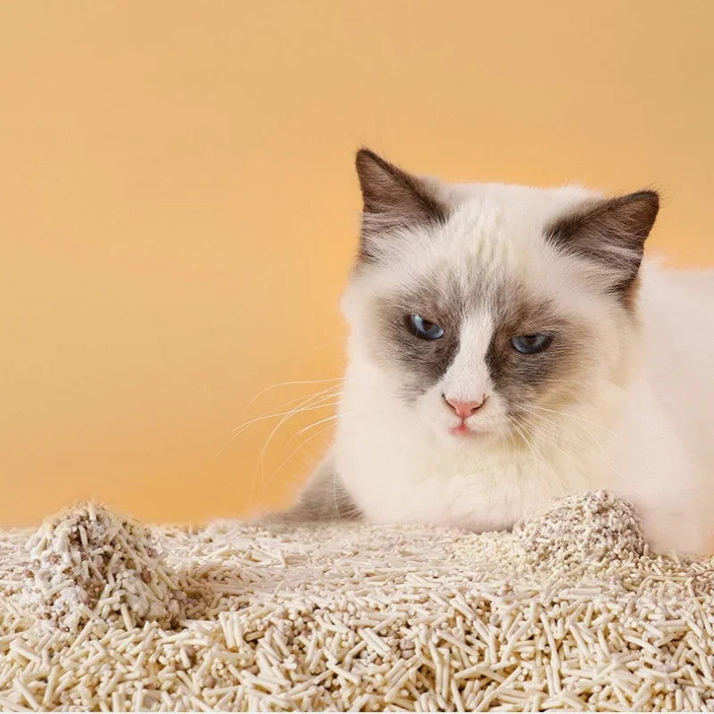 6L Tofu Cat Litter