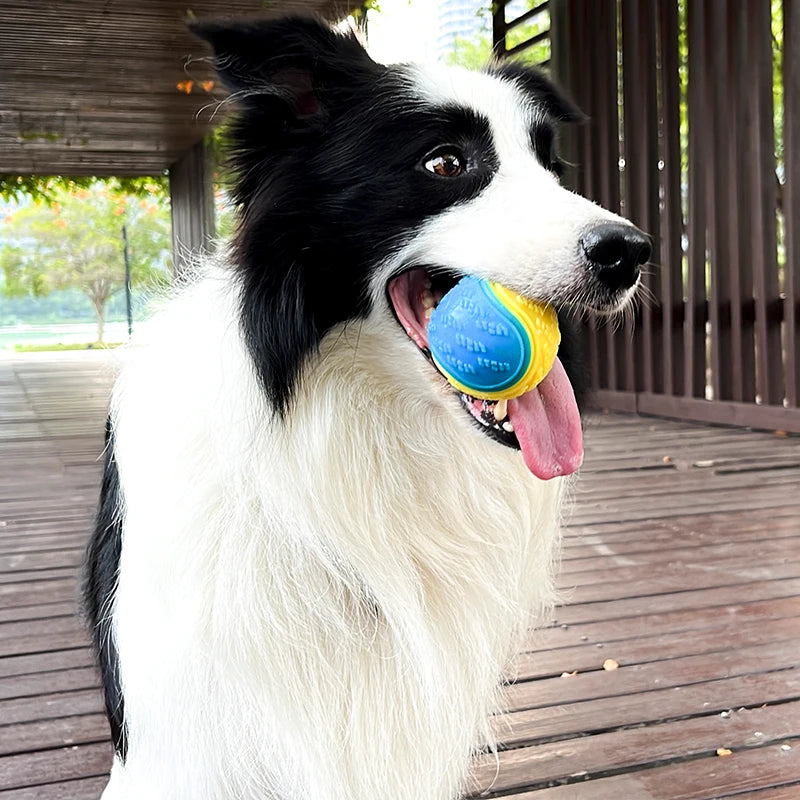 Interactive Squeaky Ball