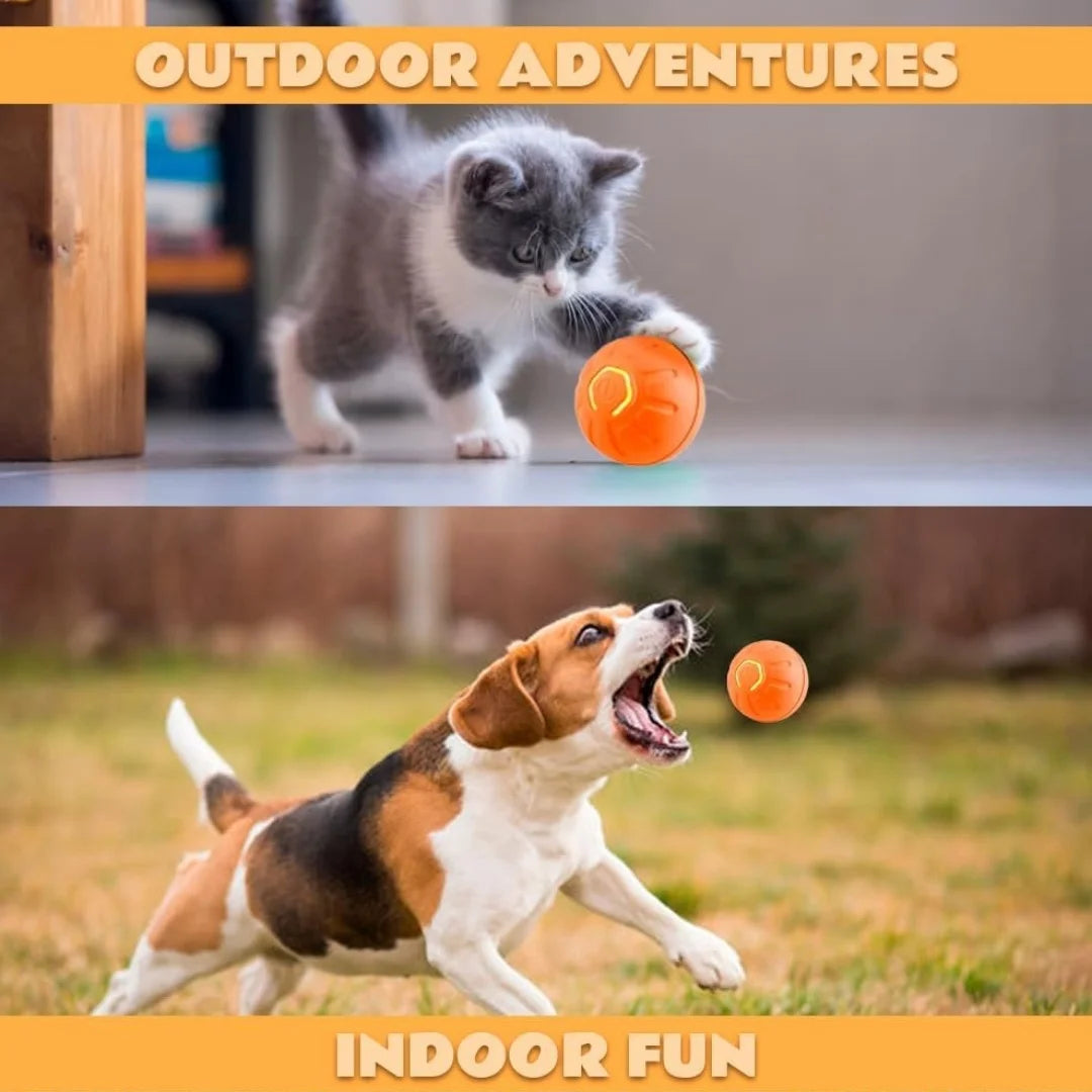 Electric Bouncing Ball For Dogs and Cats