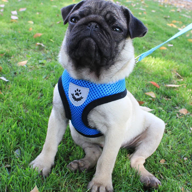 Pet Reflectible Vest Harness