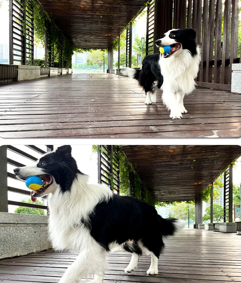Interactive Squeaky Ball