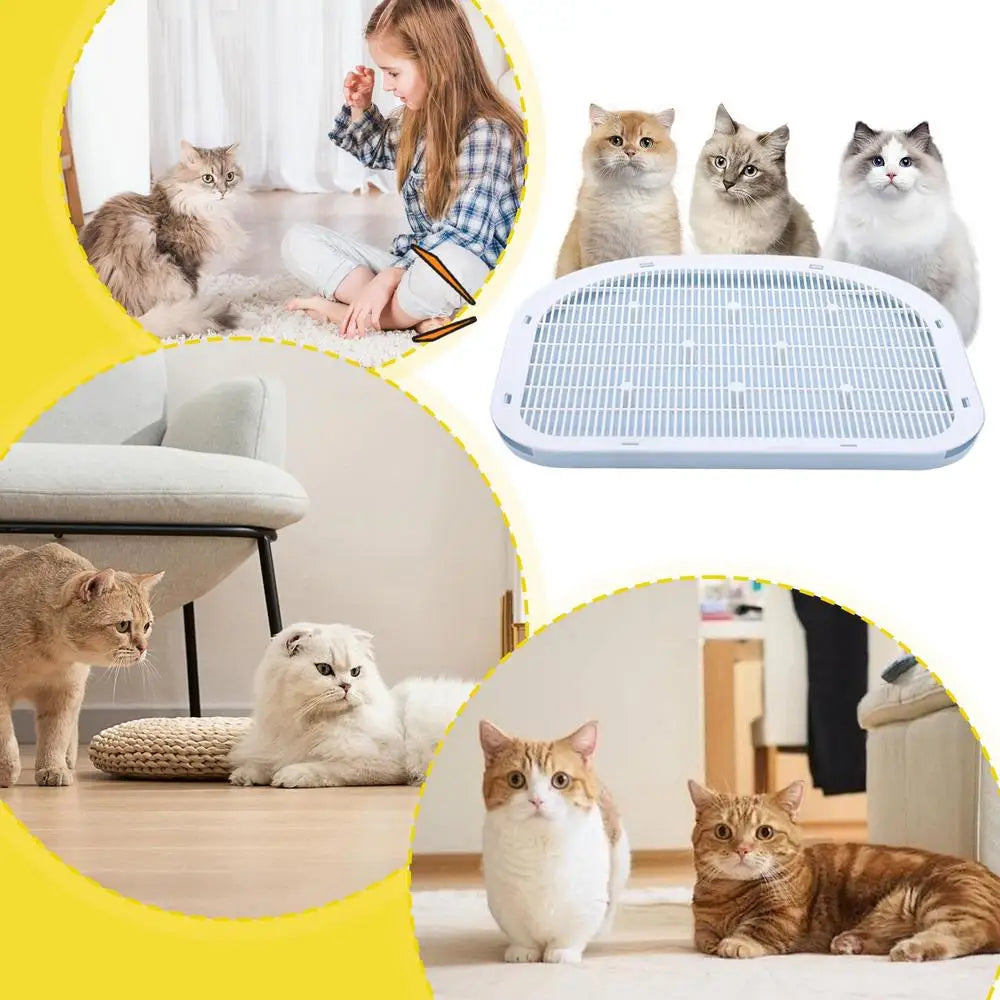 Litter Box Step Stool