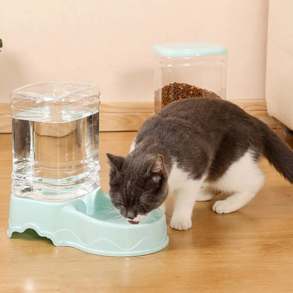3.8L automatic Pet feeder/dispenser  and Water Fountain