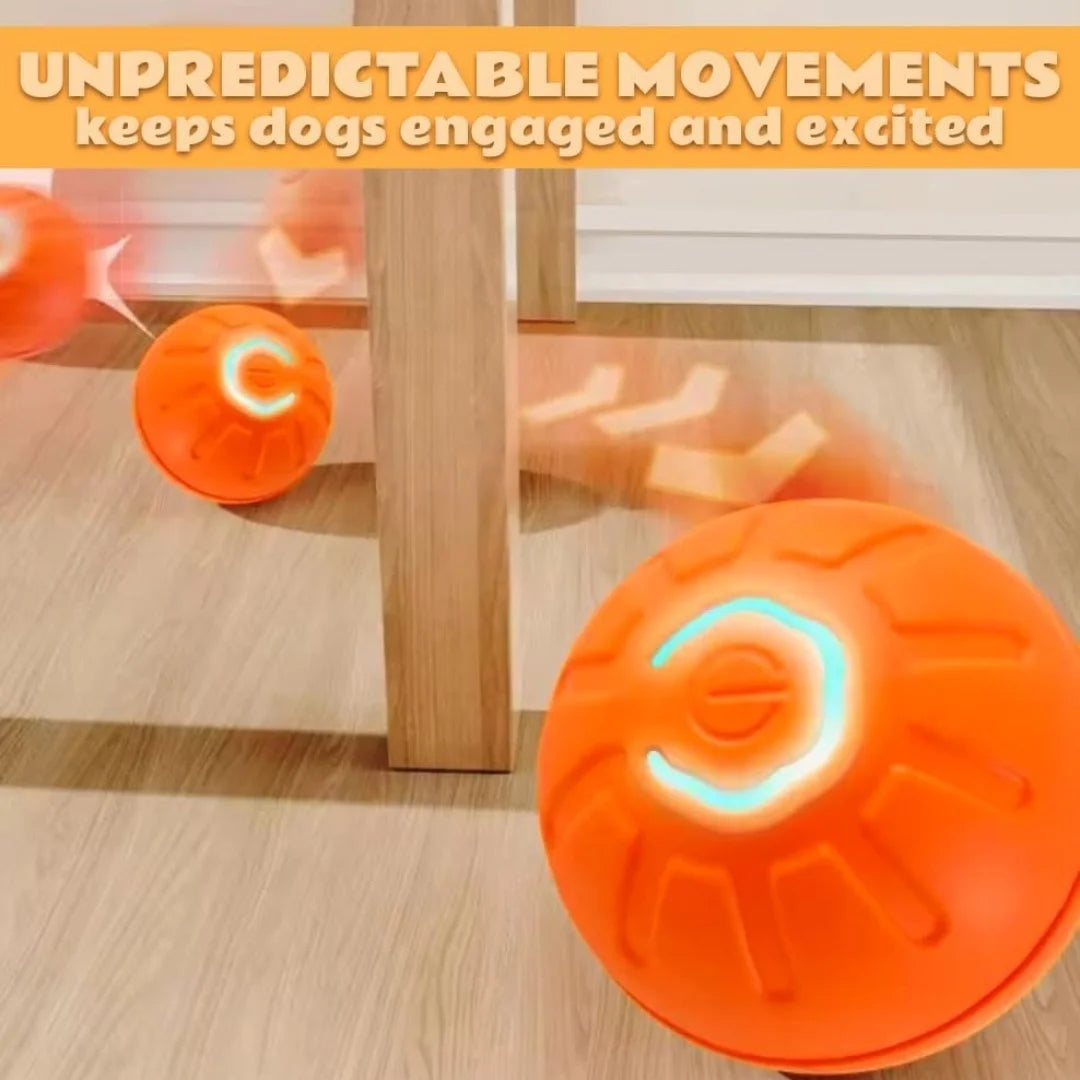 Electric Bouncing Ball For Dogs and Cats