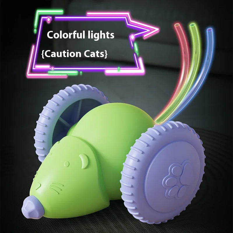 Rechargeable Interactive Cat Toy