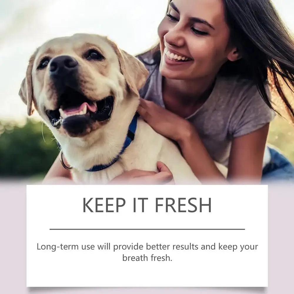 Pet Teeth Cleaning  Dental Pen