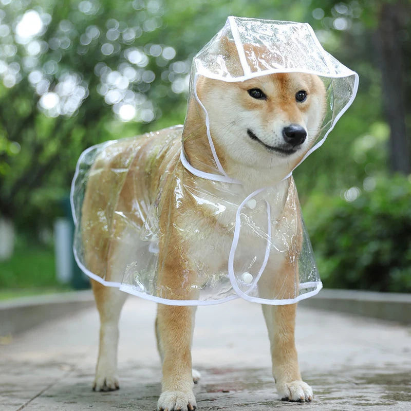 Dog Transparent Raincoat
