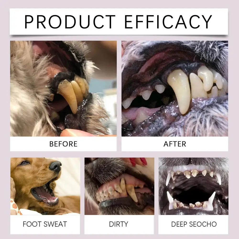 Pet Teeth Cleaning  Dental Pen